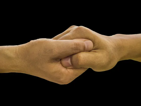 BlueFox Kazino Atbalsts